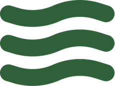 Bud waves icon